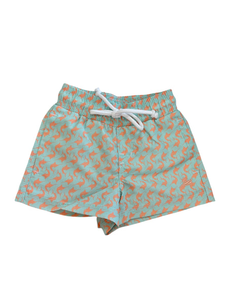Southbound Swim Trunks