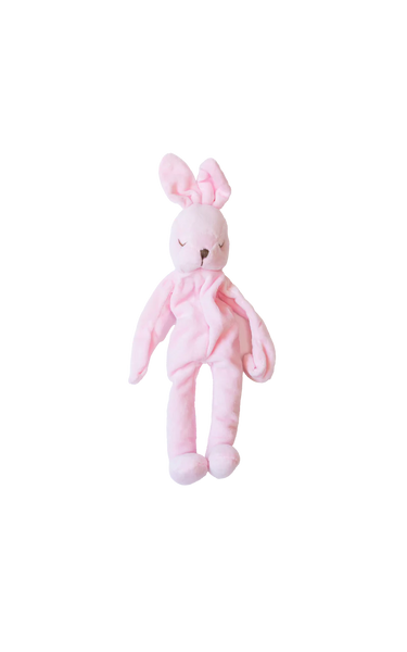 Bunny Lovey / Paci Holder