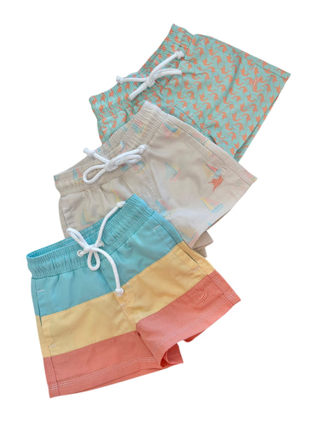 Southbound Swim Trunks
