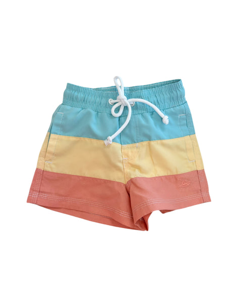 Southbound Swim Trunks