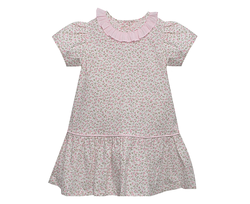 Garden Whispers Carrington Dress