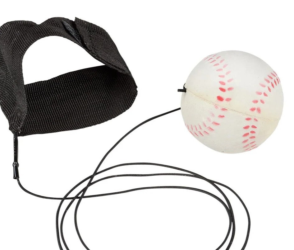 Baseball Wrist Return Ball