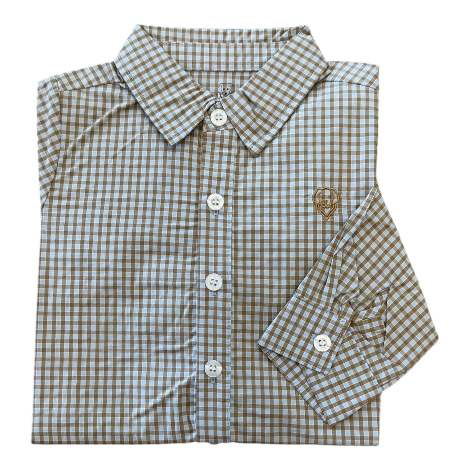 Blue/Brown Plaid Button Down