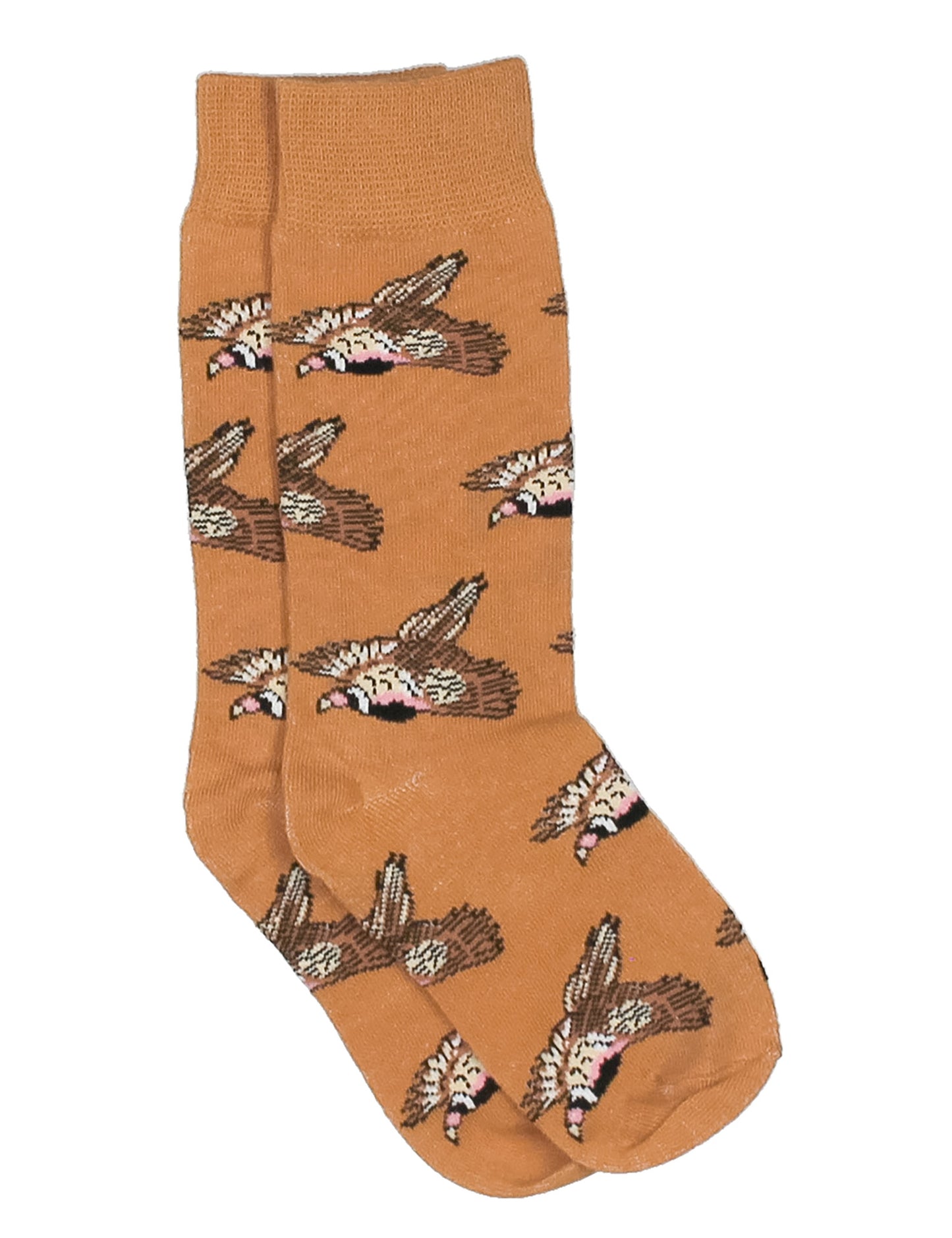 PT Lucky Duck Fall 26 socks