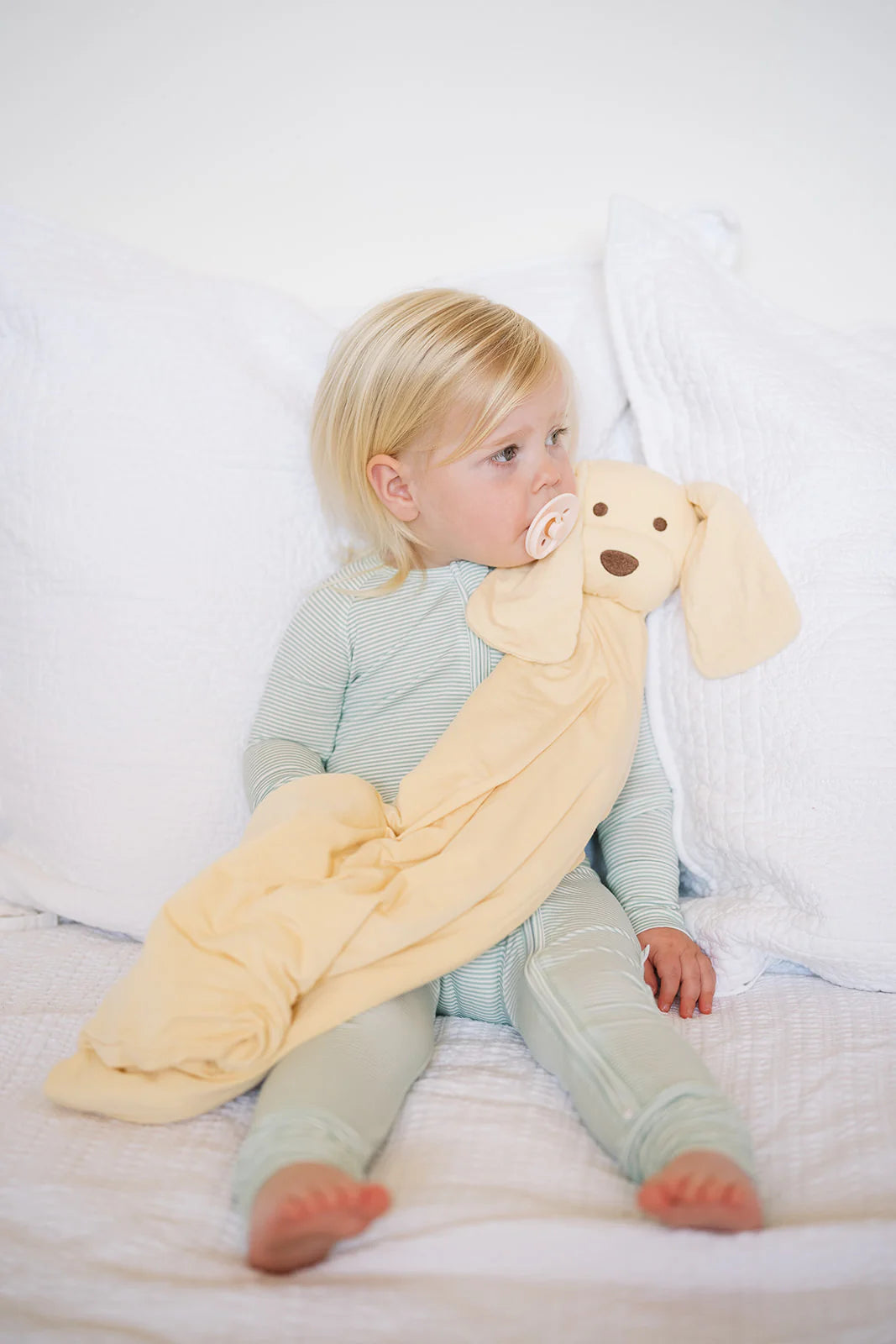 Dog Lovey + Paci Holder